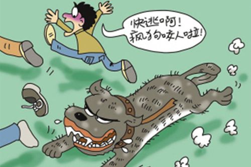 網(wǎng)站收錄在網(wǎng)站優(yōu)化中起到什么作用？