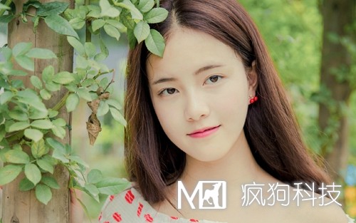 2017年網(wǎng)站推廣的20個(gè)方法策略？