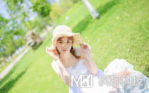 網(wǎng)站SEO優(yōu)化中應該查看哪些數據？