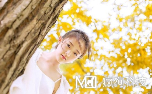收藏：快速頁(yè)面收錄的六大絕技！